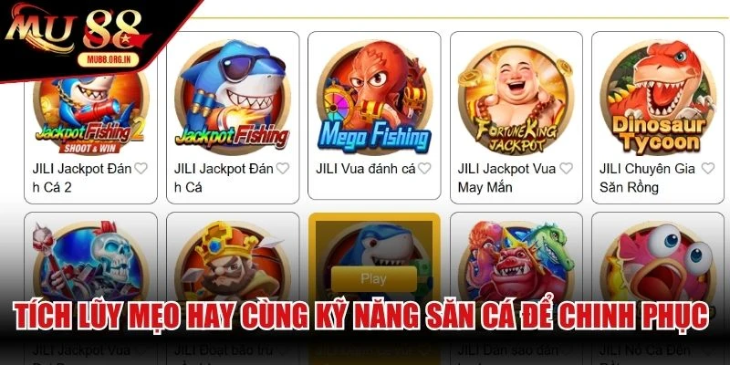 Tích lũy mẹo hay cùng kỹ năng săn cá để chinh phục mọi thách thức